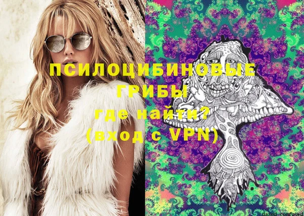 хмурый Абинск