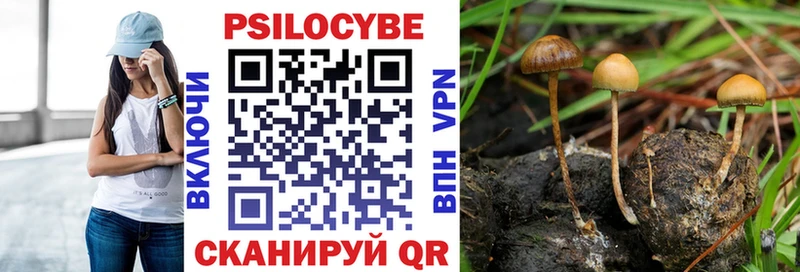 hydra ссылки наркота Ярославль Псилоцибиновые грибы MAGIC MUSHROOMS